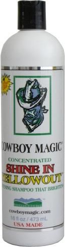 Cowboy Magic - Shine In Yellow Out